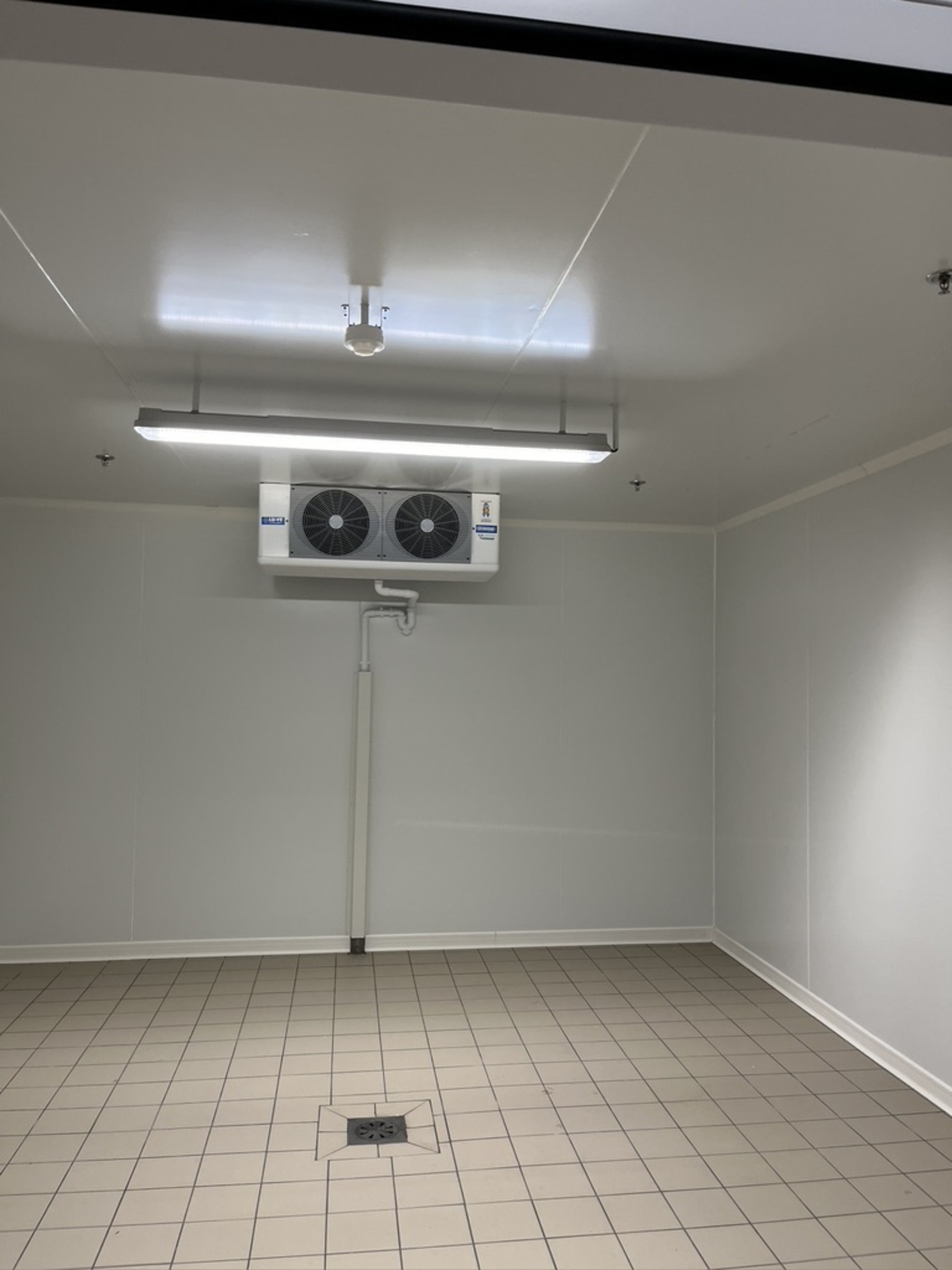Chambre froide — éclairage et raccordement frigorifique